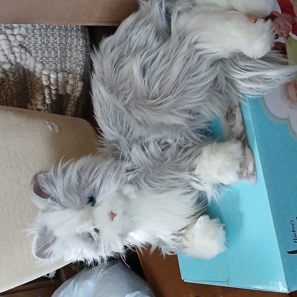 Joy For All Cat Grey Persian Cat Original Box